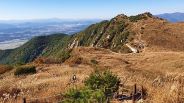 더쿠 - 창녕 화왕산 억새숲 사진