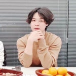 더쿠 - 새초롬 너무 이쁜 댕댕이