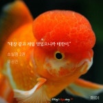 태한이 보고 싶어요 - BL 카테고리