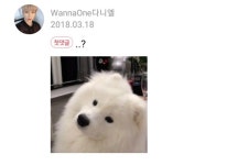 멈무가 멈무했던 - 강다니엘 카테고리