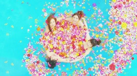 에이케이바이오링크 주식회사(AKBiolink Co.Ltd) | 아키피 새끼야 얼마나 이쁘냐 ㅅㅂ - AKB48그룹 카테고리