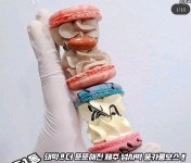 HOT - 호불호 갈리는 마카롱.jpg