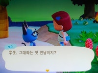 마일섬 5트 잭슨 실화?!?!?!? - 동물의숲 카테고리