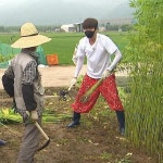 ㅋㅋㅋㅋㅋㅋㅋㅋ - 김선호 카테고리