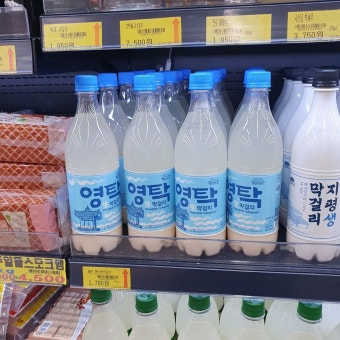 나도 드디어 영탁막걸리....!!!! - 영탁 카테고리