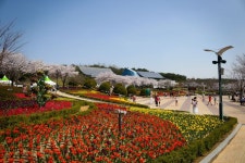 SK그룹이 울산에기부한거 - 스퀘어 카테고리