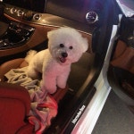 190619 짱횬 인스타 - 틴탑(TEEN TOP) 카테고리