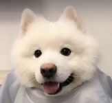 끄앙 ㅇㅇㅂ에서 본 멈무 너무 닮았오 - 강다니엘 카테고리
