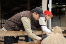 3일전 짤털 - 이준호 카테고리