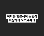 전체 게시판 - 어딘가로 끌려간 펭수