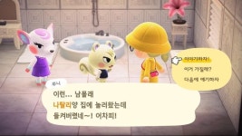 쭈니야 한참 찾았자너 - 동물의숲 카테고리