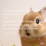 석박사 돌박사 왜 이렇게 귀엽냐고 - BL 카테고리