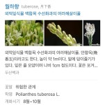 헐 이보네 재즈바 이름 다들 봤어??(보그필름) - 왕이보 카테고리