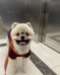더쿠 - 큠까오야 ٩(๑•᷅ᗝ•᷄๑)و✧