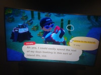 동숲 와와 안데스다 ㅠㅠ - 게임 카테고리