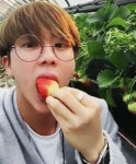 저기 석진이네 딸기농장일 확률은? - 방탄소년단(BTS) 카테고리