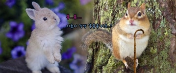 너네 슬로건 만드려고 카테하니??? - 드영배 카테고리