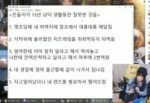 더쿠 - 은돌이가 13년 냥이 생활동안 잘못한 것들