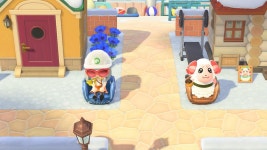 차둘이가 꾸준하게 운동을해??!! - 동물의숲 카테고리