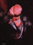 지민바앙 팡들아 지금도 세렌파 라이파 열렬하게 나뉘는거야 - 지민(BTS) 카테고리