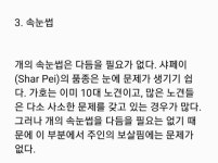 웨이보에 올라온 수의사들이랑 상담한 내용 정리한거래 - 빅뱅 카테고리
