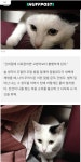 사람도 고양이처럼 그루밍을 해야 되는 이유 - 스퀘어 카테고리