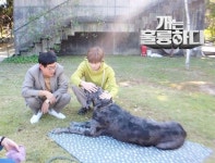 봉팔이의 예측불가한 행동도 예술로 승화시키는 김우석의 프로다운 면모 - 김우석 카테고리