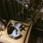 전체 게시판 - 우다다 타임후