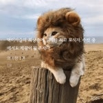 외사랑 정재한 수컷 어록 ㅂㅊ - BL 카테고리