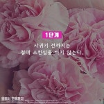 썸탈때 스킨십은 어디까지 - 스퀘어 카테고리