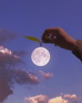 감성과 아이디어가 넘치는 달 사진🌕🌙 - 스퀘어 카테고리 감성과 아이디어가 넘치는 달 사진🌕🌙 - 스퀘어 카테고리