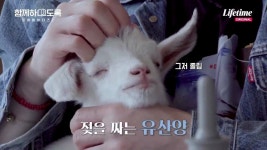 전체 게시판 - 아기산양의 귀여움이란...(feat.김재중).jpg