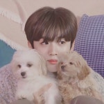 김요한 강아지랑 브이앱한거 개귀여웡ㅠㅠㅠㅠㅠ - 케이돌토크 카테고리