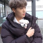 덥파고들아 현재랑 다롱이 같이있는 영상 ??있어 ???? - 더보이즈 카테고리