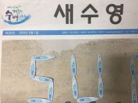 수영구 사는게 이렇게 행복한 적은 처음입니다 ㅜㅜ - 펭수 카테고리