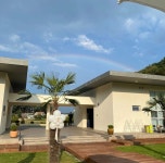 모야 하와이야 모야 (하와이 안가봄 - 드영배 카테고리