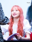 푸푸들 점심 뭐 먹어 - 김채원 카테고리