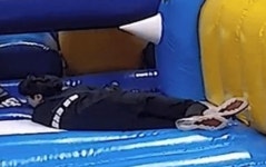 더쿠 - 🌕달나라🐮동물농장 인구조사 시즌2🐷🌎 28일 22시까지