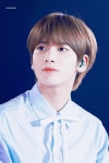 태현시 - 국내유명인 카테고리
