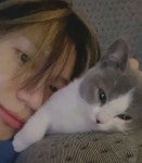 여기서 ㄹㅇ시간이 멈추고 여기가 어딘가 난 뭘보고 있는가 - 태민 카테고리