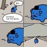 전체 게시판 - 얘두라 우리 ㄹㅇ 이거잔아