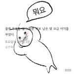 더쿠 - 떠단이는 다육이랑 기싸움하던데...
