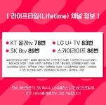 아이돌다방 채널 정보 - 신화(SHINHWA) 카테고리