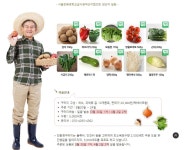 더쿠 - 서울시 친환경 농산물 꾸러미 택포 2만원 선착순 5천세트