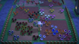 넘 구분 안 해놔서 좀 그룬가 - 동물의숲 카테고리