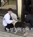 얘 냠냠아 - 옹성우 카테고리