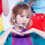 단발) 푸리티 - 김채원 카테고리