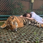 안녕 방금 가입한 신입이야 - 하로프로젝트 카테고리