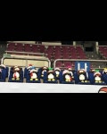 🐧농구 경기 객석에 앉아있는 펭수들 - 스퀘어 카테고리 &#x1f427;농구 경기 객석에 앉아있는 펭수들 - 스퀘어 카테고리