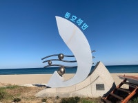 ㅂㄴ 동호해변 - 백호 카테고리